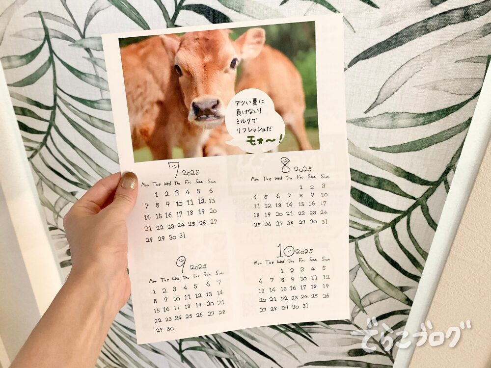 ちょっとしたおまけで牛さんのカレンダーがついてたよ~