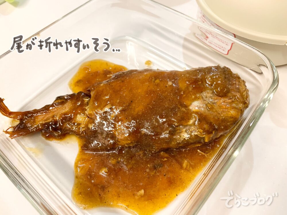 尾っぽが折れとる～！！