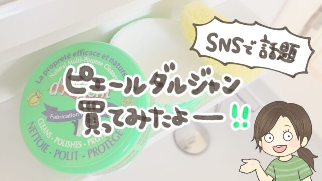 【正直レビュー】ピエール・ダルジャン紫と緑どっちがいい？SNSで人気の洗剤を使ってみた口コミ