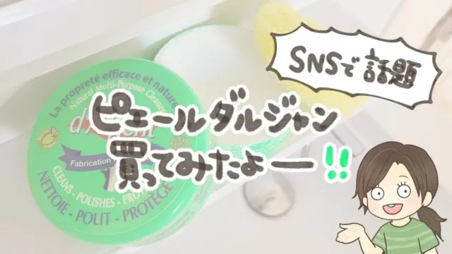 【正直レビュー】ピエール・ダルジャン紫と緑どっちがいい？SNSで人気の洗剤を使ってみた口コミ
