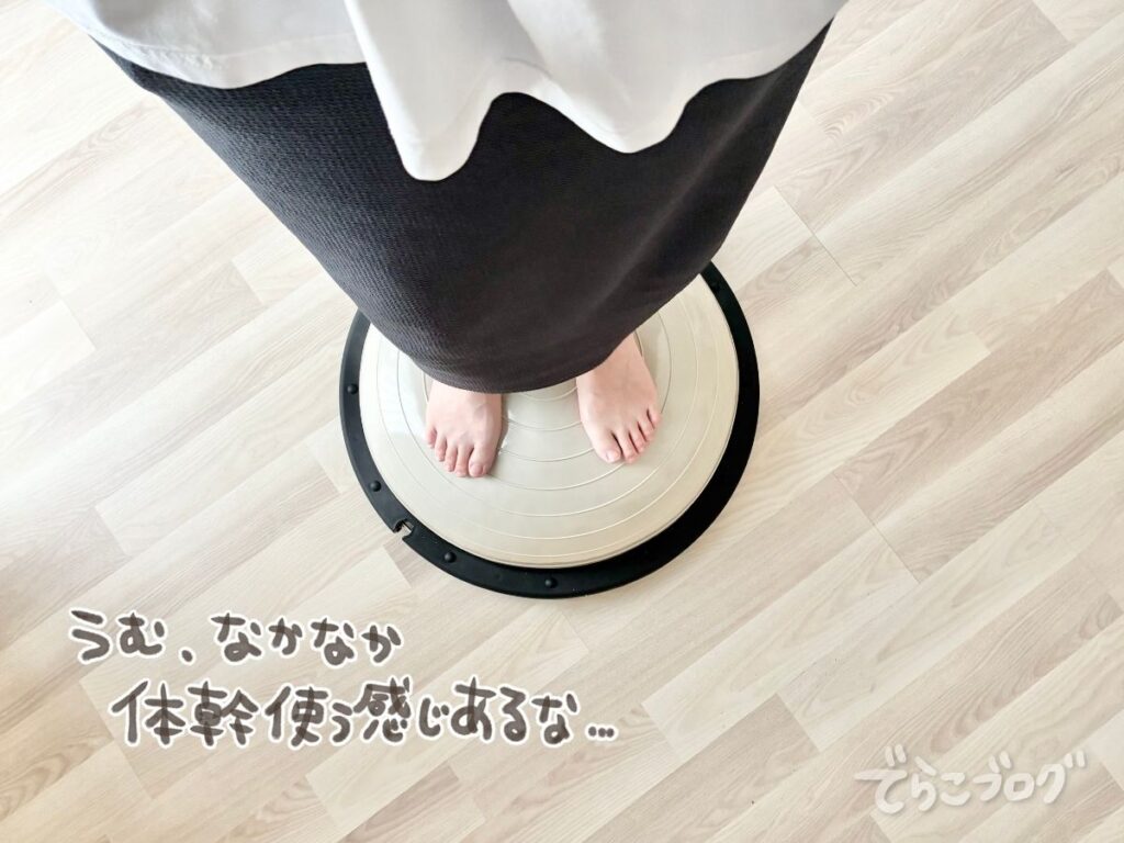 大人がバランスドームに乗っている様子