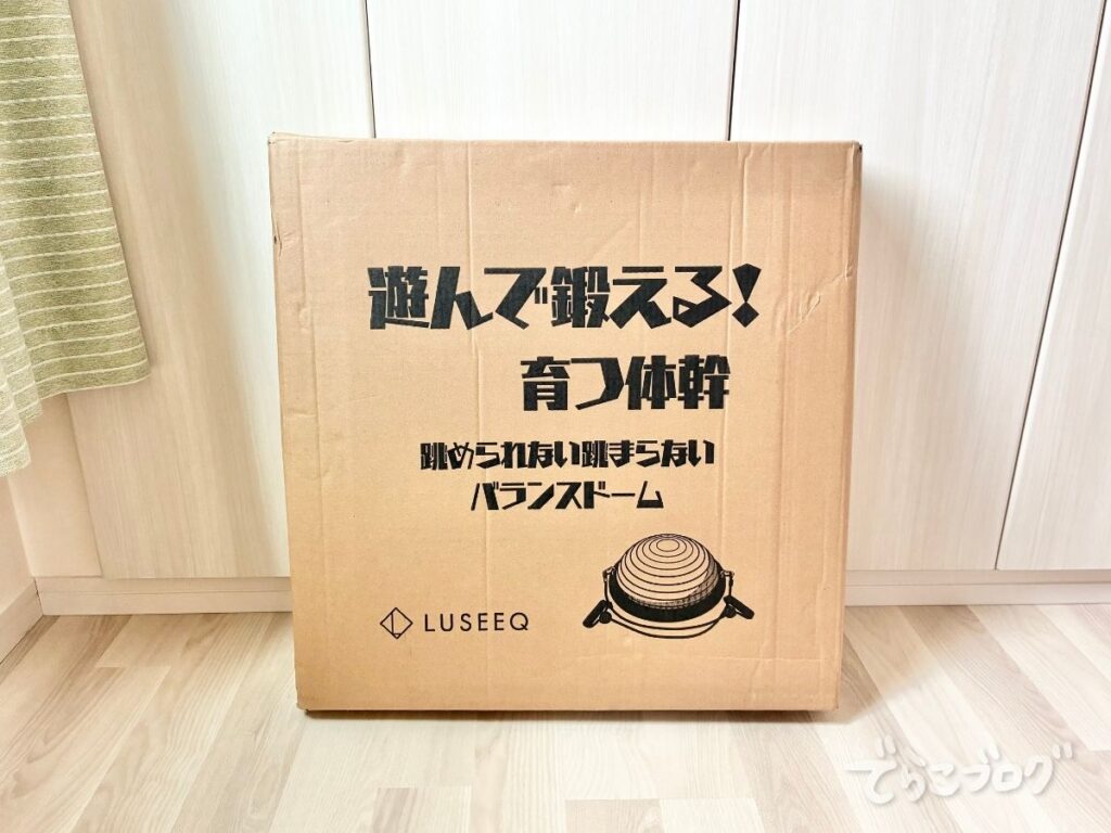 バランスドームが届いたときの外箱