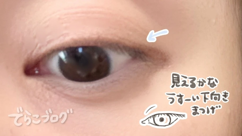 セルフまつ毛パーマ前の薄く下向きのまつ毛